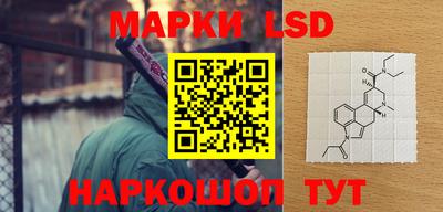 прущие грибы Ирбит